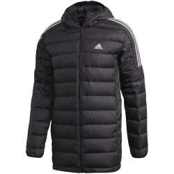 adidas Essentials Daunenparka Herren