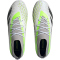 adidas Predator Accuracy.1 FG Naturrasen Fußballschuhe