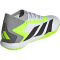 adidas Predator Accuracy.3 IN Fußballschuhe Herren