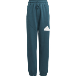 adidas Future Icons Logo Jogginghose Kinder AEX3 -...