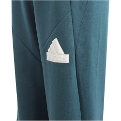 adidas Future Icons Logo Jogginghose Kinder AEX3 - arcngt/white 152