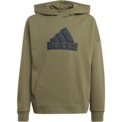 adidas Future Icons Logo Hoodie Kinder AETE -...
