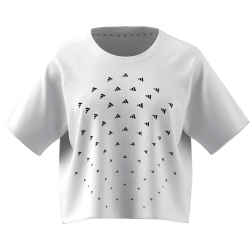 adidas BLUV Print Performance Trainingsshirt Damen 001A -...