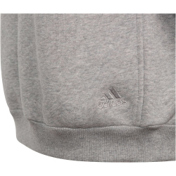 adidas All SZN Hoodie Kinder 83F7 - mgreyh/white 152