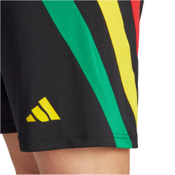 adidas Fortore 23 Shorts Herren 095A - black/tmcord/tmyell/t XS