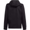 adidas Entrada 22 Allwetter Jacke Herren 095A - black XS