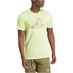 adidas Train Essentials Seasonal Graphic Trainingsshirt Herren AED8 - pullim/silpeb S