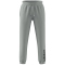 adidas All SZN Fleece Graphic Jogginghose Herren AEWM - wonsil S