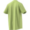 adidas All SZN Graphic T-Shirt Herren AED8 - pullim S