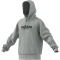 adidas All SZN Fleece Graphic Hoodie Herren AEWM - wonsil M