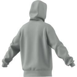 adidas All SZN Fleece Graphic Hoodie Herren AEWM - wonsil L