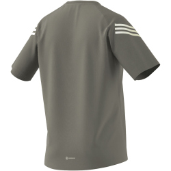 adidas Train Icons Training T-Shirt Herren AESW - silpeb/pullim/white M