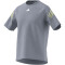 adidas Train Icons Training T-Shirt Herren AEWP - wonblu/pullim/white M