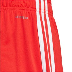 adidas FC Bayern M&uuml;nchen Heimshorts 2023/24 Herren 013A - red/white M