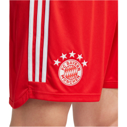 adidas FC Bayern M&uuml;nchen Heimshorts 2023/24 Herren 013A - red/white M