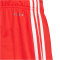 adidas FC Bayern M&uuml;nchen Heimshorts 2023/24 Herren 013A - red/white M
