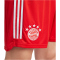 adidas FC Bayern M&uuml;nchen Heimshorts 2023/24 Herren 013A - red/white M
