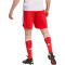 adidas FC Bayern München Heimshorts 2023/24 Herren 013A - red/white XL