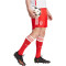 adidas FC Bayern München Heimshorts 2023/24 Herren 013A - red/white XL