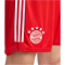 adidas FC Bayern München Heimshorts 2023/24 Herren 013A - red/white XL