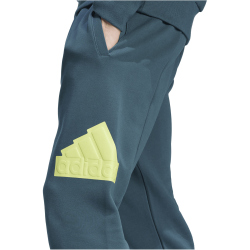 adidas Future Icons Badge of Sport Jogginghose Herren AEX3 - arcngt M