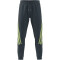 adidas Future Icons Jogginghose Herren AEX3 - arcngt S