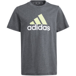 adidas Essentials Two-Color Big Logo Cotton T-Shirt...
