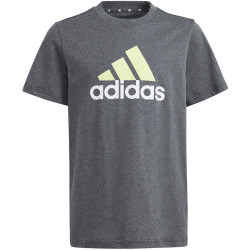 adidas Essentials Two-Color Big Logo Cotton T-Shirt...