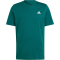 adidas Essentials Single Jersey T-Shirt Herren 024A - cgreen L/T