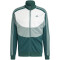 adidas Colorblock Trainingsanzug Herren 024A - cgreen/silgrn/white XXL/S
