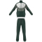 adidas Colorblock Trainingsanzug Herren 024A - cgreen/silgrn/white XXL/S