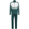 adidas Colorblock Trainingsanzug Herren 024A - cgreen/silgrn/white XXL/S