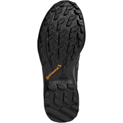 adidas TERREX Swift R2 GORE-TEX Wanderschuhe Herren AELD - wonste/cblack/seimor 38 2/3