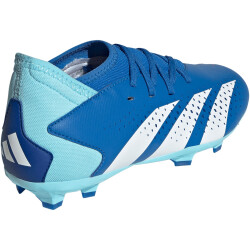 adidas Predator Accuracy.3 FG Fußballschuhe Kinder 56F0 - broyal/ftwwht/bliblu 31