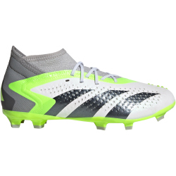 adidas Predator Accuracy.1 FG Naturrasen...