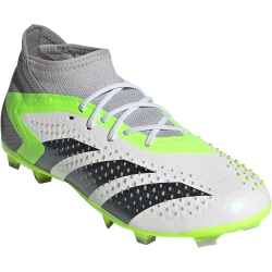 adidas Predator Accuracy.1 FG Naturrasen Fu&szlig;ballschuhe 01F7 - ftwwht/cblack/luclem 34