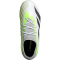 adidas Predator Accuracy.1 FG Naturrasen Fußballschuhe 01F7 - ftwwht/cblack/luclem 36 2/3