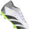 adidas Predator Accuracy.3 MG Multi-Ground Fußballschuhe Herren 01F7 - ftwwht/cblack/luclem 44 2/3