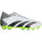 adidas Predator Accuracy.3 MG Multi-Ground Fußballschuhe Herren 01F7 - ftwwht/cblack/luclem 48