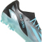 adidas X Crazyfast Messi.1 FG Naturrasen Fu&szlig;ballschuhe 080A - silvmt/bliblu/cblack 41 1/3
