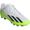 adidas X Crazyfast.4 FxG Multi-Ground Fu&szlig;ballschuhe Kinder 01F7 - ftwwht/cblack/luclem 36