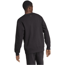 adidas All SZN Fleece Graphic Sweatshirt Herren 095A - black S