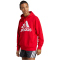 adidas Essentials French Terry Big Logo Hoodie Herren AETG - betsca/white M/T