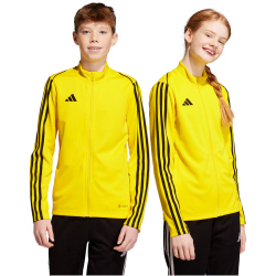 adidas Tiro 23 League Trainingsjacke Kinder ADF7 - tmyell 116