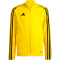 adidas Tiro 23 League Trainingsjacke Kinder ADF7 - tmyell 116