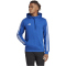 adidas Tiro 23 League Sweat Hoodie Herren AD8R - royblu S