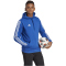 adidas Tiro 23 League Sweat Hoodie Herren AD8R - royblu S