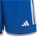 adidas Tiro 23 Competition Match Trainingsshorts Kinder AD8R - royblu/white 140