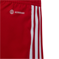 adidas Tiro 23 Competition Match Trainingsshorts Kinder AEPU - tepore/white 116