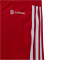 adidas Tiro 23 Competition Match Trainingsshorts Kinder AEPU - tepore/white 116